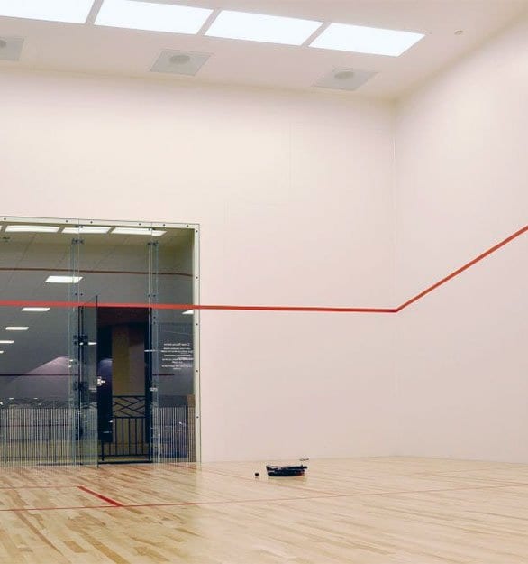 Wall Panel Systems For High Impact Indoor Sports